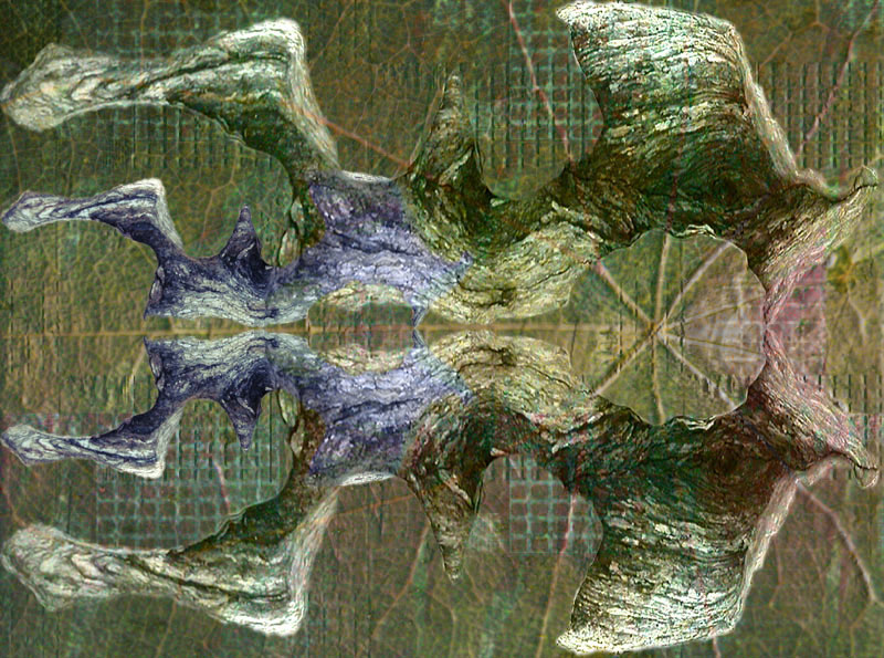 Abstract symmetrical digital art with organic bark-like textures and earthy tones.