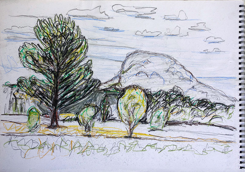 a loose colour pencil landscape drawing with trees in the foreground and a mountain in the distance