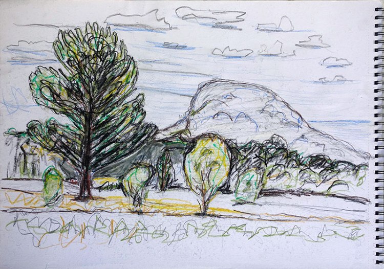 a loose colour pencil landscape drawing with trees in the foreground and a mountain in the distance