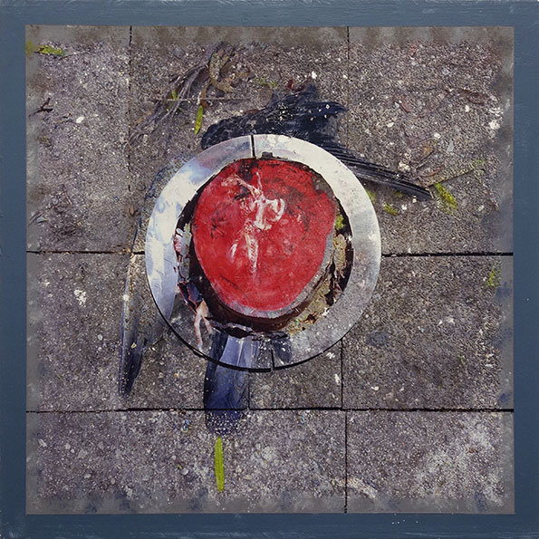 Photo of dead bird digitally layered on cut tree stump in brick paver footpath, with stump painted red