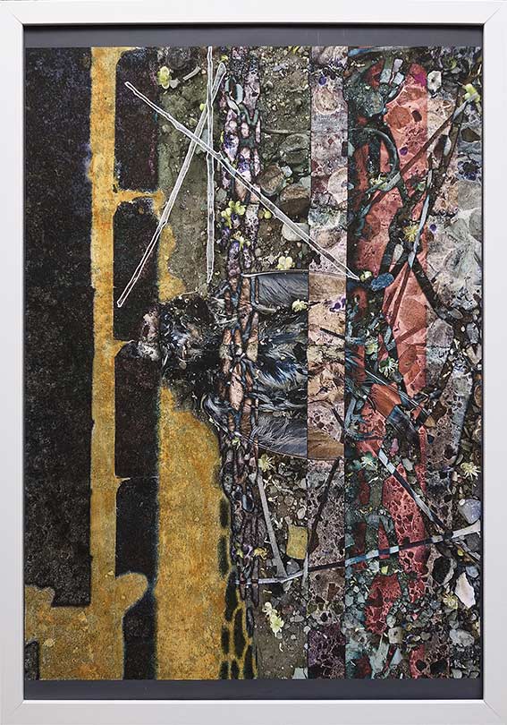 digitally layered photos including a hard to recognise dead bird