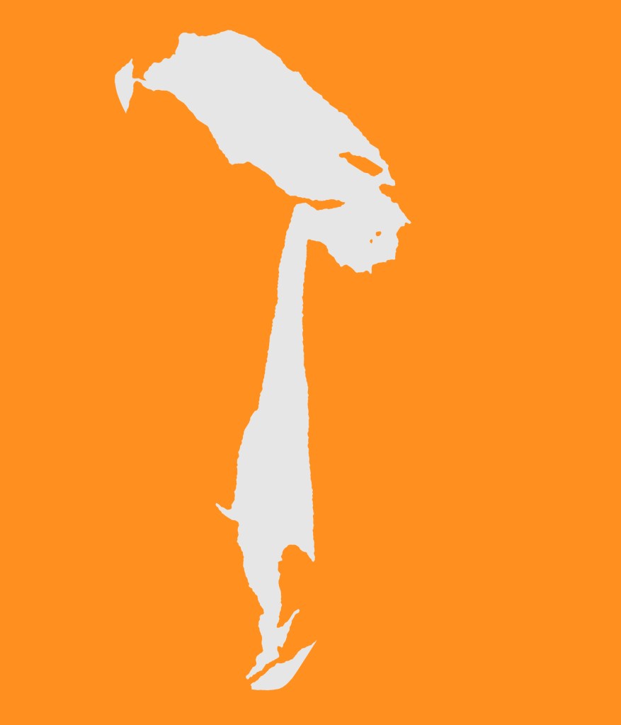 (HaHa Ai described this as "outline of the country of Chile")
Its a white abstract shape digitally isolated from a photo of peeling paint set on orange background.