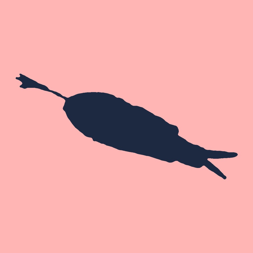 Black silhouette of a one legged gull a pink background.