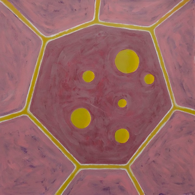 background painted in textured pink divided narrow yellow angular bands with the central 7 sided shape containing 6 yellow circles